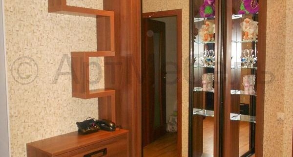 шкаф купе в гостиную под заказ